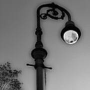 Savannah Lamp Post Poster