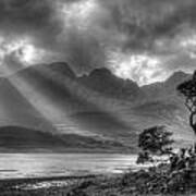 Lonely Tree. Landscape Of The Scottish Highlands In Scotland Poster