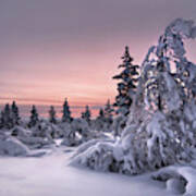 Lappland - Winterwonderland Poster