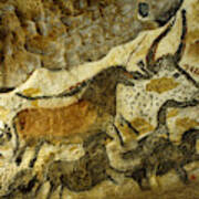 Lascaux Cave Painting Poster