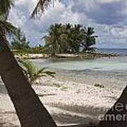 Laughing Bird Caye Poster