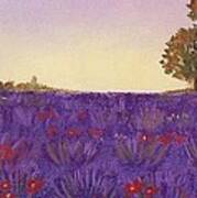 Lavender Evening Poster