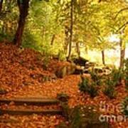 Leaves On The Steps At Avenham Park Poster