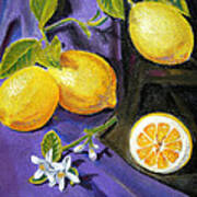 Lemons And Flowers Poster