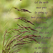 Let The Earth Bring Forth Grass Genesis Poster