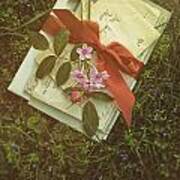 Letters With Red Satin Ribbon In The Grass Poster