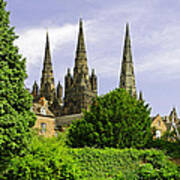 Lichfield Cathedral From The Garden Poster