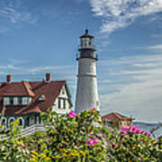 Lighthouse And Wild Roses Poster