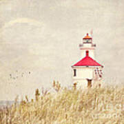 Lighthouse With Red Roof Poster