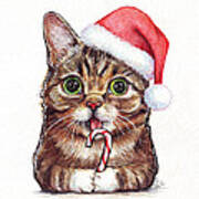 Cat Santa Christmas Animal Poster