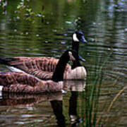 Lila Goose And The King Poster