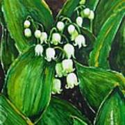 Lily Of The Valley Poster