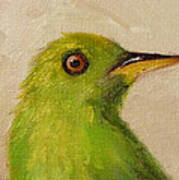 Little Green Bird Poster