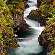 Little Qualicum River Canyon Poster