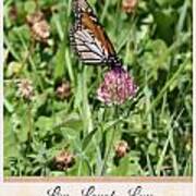 Live Laugh Love Butterfly Poster