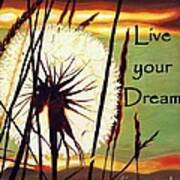 Live Your Dream Poster