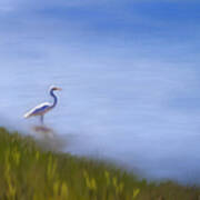 Lone Egret Painting Poster