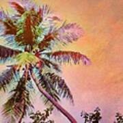 H Lone Palm Against Orange Sky - Horizontal Poster