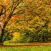 Lonely Autumn Bench Poster