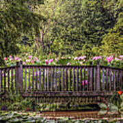 Lotus Garden Pond And Bridge Poster