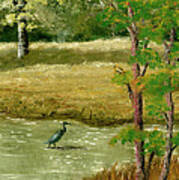 Louisiana Pond With Heron Poster