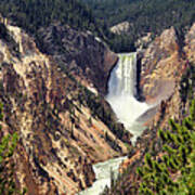 Lower Falls Of Yellowstone Poster