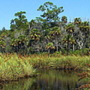 Lower Suwannee Refuge 2a Poster