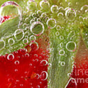 Macro Of Strawberry In Water Poster