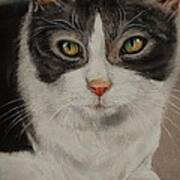 Macy Gray Cat Poster