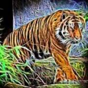 Magic Tiger Poster