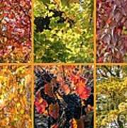 Magical Autumn Colors Collage Poster