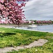 Mamaroneck Harbor Poster