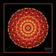 Mandala Ornate Poster
