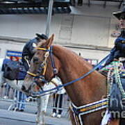 Mardi Gras Cowboy On Horseback Poster