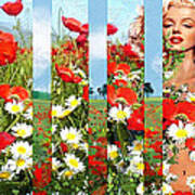 Marilyn In Poppies 1 Poster