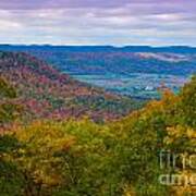 Martin Hill Foliage Poster