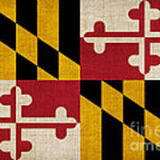 Maryland State Flag Poster