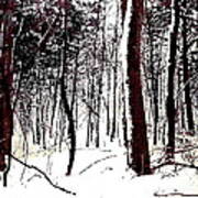 Maryland Winter Forest 2c Original Digital Art Poster