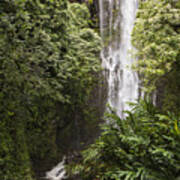 Maui Waterfall Poster