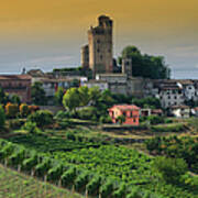 Medieval Castle And Vineyard Poster