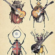 Meet The Beetles Poster