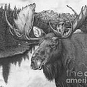 Melozi River Moose Poster