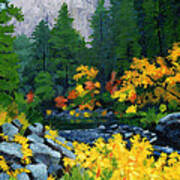 Merced River In Autumn Poster