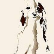 Mercedes  - Our Cavalier King Charles Spaniel  No. 9 Poster