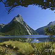 Milford Sound  New Zealand Poster