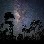 Milky Way Over The Everglades Poster