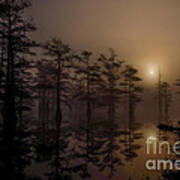 Mississippi Foggy Delta Swamp At Sunrise Poster