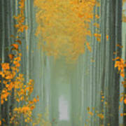 Misty Autumn Path Poster