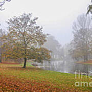 Misty Morning In The Park Poster