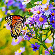 Monarch Butterfly 4 Poster